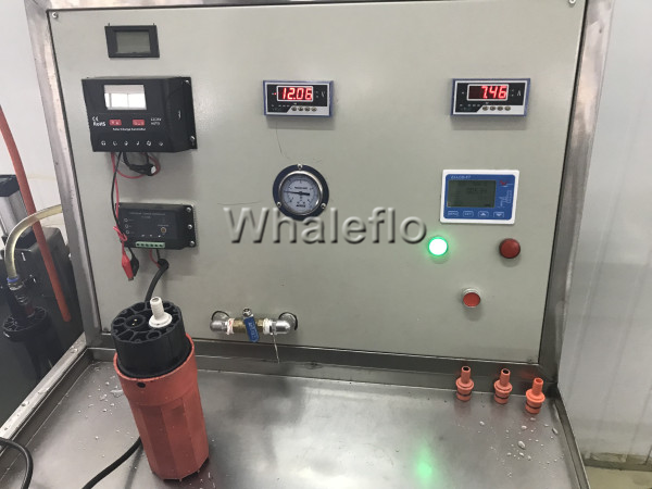 Whaleflo solar water pump test