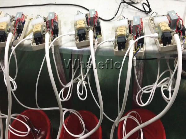 whaleflo bottle water dispenser system test